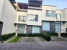 3 Schlafzimmer Wohnung zu verkaufen in Benito Juarez, Mexico City, Benito Juarez