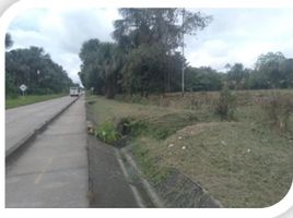  Terrain for sale in Amazonas, Leticia, Amazonas