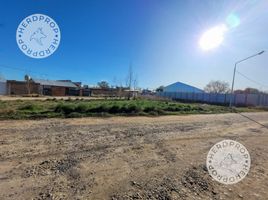  Land for sale in Confluencia, Neuquen, Confluencia