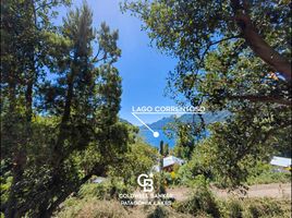  Land for sale in Neuquen, Los Lagos, Neuquen