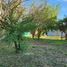  Land for sale in Colon, Entre Rios, Colon