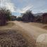  Land for sale in Junin, San Luis, Junin