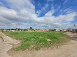  Land for sale in Gualeguaychu, Entre Rios, Gualeguaychu