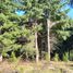  Land for sale in Rio Negro, Bariloche, Rio Negro