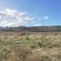  Land for sale in Cushamen Chubut, Cushamen