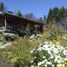 1 Bedroom House for sale in Cushamen, Chubut, Cushamen, Chubut