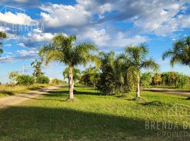  Terreno (Parcela) en venta en Colon, Entre Rios, Colon