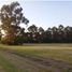  Land for sale in Tres Arroyos, Buenos Aires, Tres Arroyos