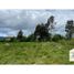  Land for sale in Los Rios, Mariquina, Valdivia, Los Rios