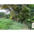  Land for sale in Los Rios, Mariquina, Valdivia, Los Rios