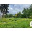  Land for sale in Los Rios, Mariquina, Valdivia, Los Rios