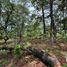  Land for sale in Teopisca, Chiapas, Teopisca