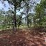  Land for sale in Teopisca, Chiapas, Teopisca