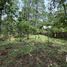  Land for sale in Teopisca, Chiapas, Teopisca