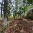  Land for sale in Teopisca, Chiapas, Teopisca