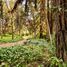  Land for sale in Chile, Santiago, Santiago, Santiago, Chile