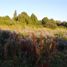  Land for sale in Maule, Longavi, Linares, Maule