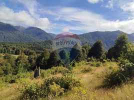  Terreno (Parcela) en venta en Chile, Curarrehue, Cautín, Araucanía, Chile