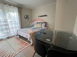 Studio Apartment for sale in Hospital San Francisco Pucon, Pucon, Pucon