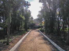  Grundstück zu verkaufen in Tigre, Buenos Aires, Tigre, Buenos Aires