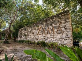  Terreno (Parcela) en venta en Cozumel, Quintana Roo, Cozumel, Quintana Roo