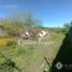  Land for sale in Rio Negro, Bariloche, Rio Negro