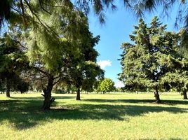  Land for sale in Campana, Buenos Aires, Campana
