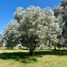  Land for sale in Campana, Buenos Aires, Campana
