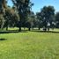  Land for sale in Campana, Buenos Aires, Campana