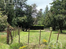  Land for sale in Neuquen, Los Lagos, Neuquen