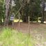  Land for sale in Neuquen, Los Lagos, Neuquen