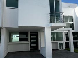 4 Habitación Casa en alquiler en San Jeronimo Tecuanipan, Puebla, San Jeronimo Tecuanipan, Puebla