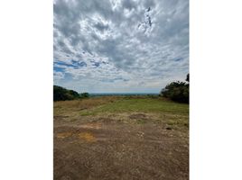  Land for sale in El Cerrito, Valle Del Cauca, El Cerrito