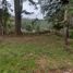  Land for sale in Donato Guerra, Mexico, Donato Guerra