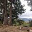  Land for sale in Donato Guerra, Mexico, Donato Guerra
