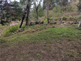  Land for sale in Donato Guerra, Mexico, Donato Guerra