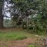  Land for sale in Donato Guerra, Mexico, Donato Guerra