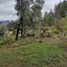  Land for sale in Donato Guerra, Mexico, Donato Guerra