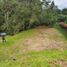  Land for sale in Envigado, Antioquia, Envigado