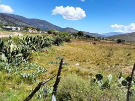  Grundstück zu verkaufen in Arteaga, Coahuila, Arteaga