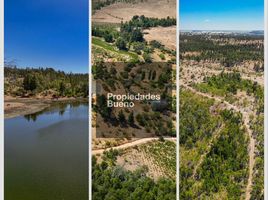  Land for sale in Chile, Cauquenes, Cauquenes, Maule, Chile