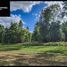  Land for sale in Chile, Frutillar, Llanquihue, Los Lagos, Chile
