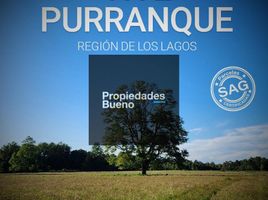  Land for sale in Chile, Frutillar, Llanquihue, Los Lagos, Chile