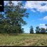  Land for sale in Chile, Frutillar, Llanquihue, Los Lagos, Chile