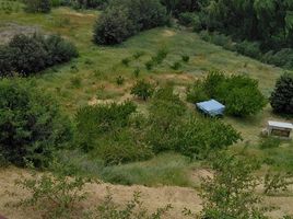  Land for sale in Nuble, Ranquil, Itata, Nuble
