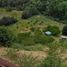  Land for sale in Ranquil, Nuble, Ranquil, Itata