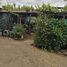  Land for sale in Nuble, Ranquil, Itata, Nuble