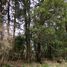  Terreno (Parcela) en venta en Chile, Loncoche, Cautín, Araucanía, Chile