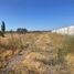  Terreno (Parcela) en venta en Chile, Teno, Curicó, Maule, Chile