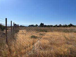  Terreno (Parcela) en venta en Chile, Teno, Curicó, Maule, Chile